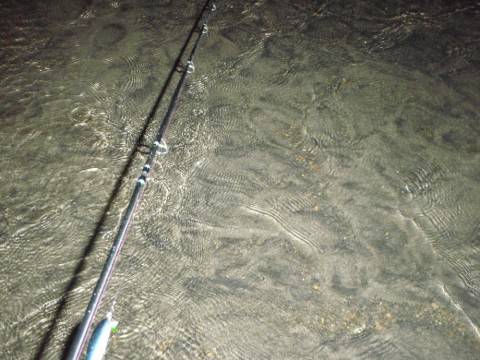 9tkbcnxm4h9s2r7tp8t5_480_480-32d6e429.jpg