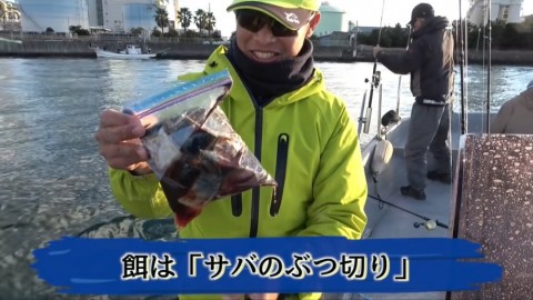 9tkdgk6fvsapgpyp2fog_480_480-29d91221.jpg