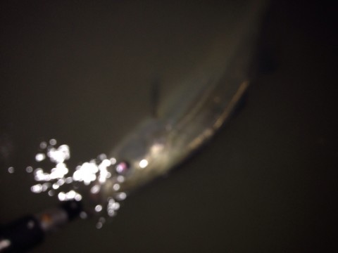 9tm6mp66h7ort7h2mpnv_920_690-1f5610e6.jpg