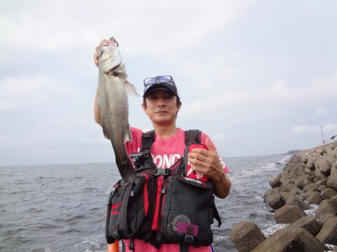 9tw9fhxd7t865dmk2627_480_480-41ffe2d3.jpg