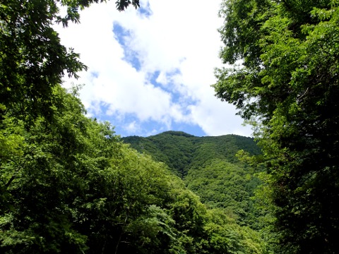 9ubfwcxtkcazi9djim9n-570e4d04.jpg
