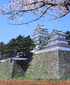 9ubynp9sse4fjfujraf2-781baf9c.jpg