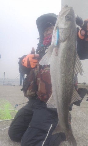 9udwx7kfac66dadk6279_480_480-56643810.jpg