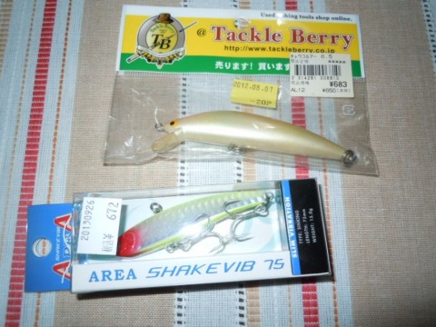 9ufaxeioa3cwh6m2g4yz_480_480-059b8001.jpg