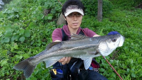9uhk7ku24obf7gmu69n5_920_518-9e4cd31b.jpg