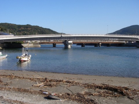9um5pvj5nstbtkg7o9yg_480_480-ac925543.jpg