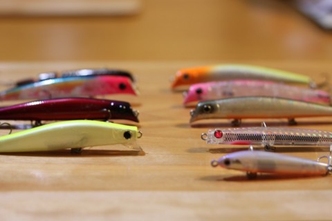 9upf3mopv3372et7jyvr_480_480-90d619c1.jpg