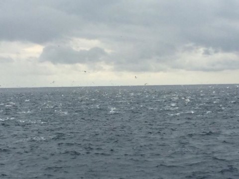 9v7n879dod3stn8mjn5u_920_690-bccaa300.jpg