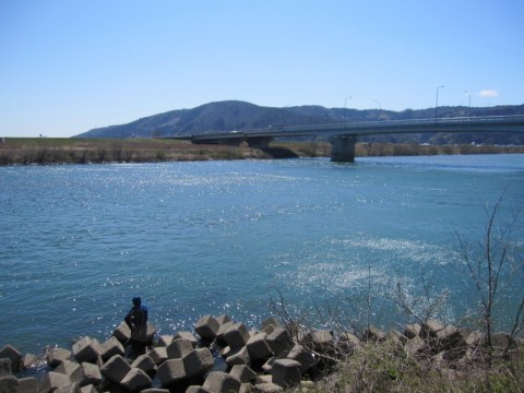 9v9vavgxvh29om9jkgs5_480_480-daae620d.jpg
