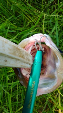 9vd2suxunkway2hk42sx_518_920-6c19e2e2.jpg