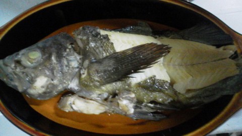 9vh25ni8d79fjo7ctrn2_480_480-172066c8.jpg