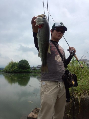 9vid5wv394jixmg9kg9m_480_480-dafe92b0.jpg
