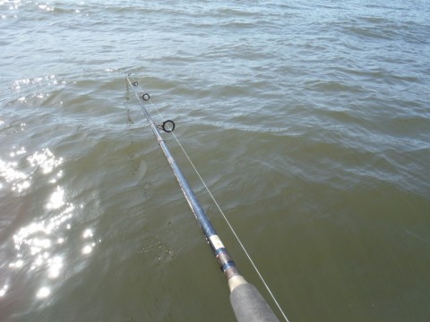 9vodfp3kp8346y8in6b8_480_480-9b5ae3c3.jpg