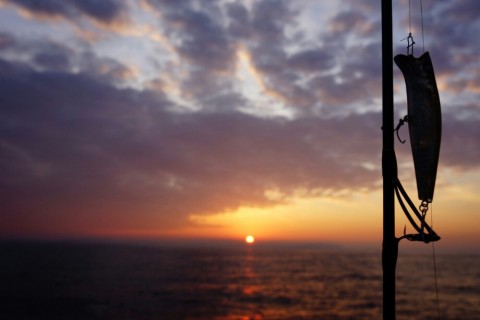 9w2kfwzsx465swmsv6fi_480_480-d6260570.jpg