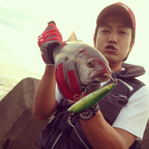 9whm93an3kkm8cjokvew_480_480-50918e92.jpg