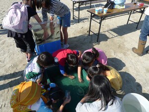 9wjfc3w7js54iygi8cks_300_225-00cb0129.jpg
