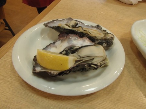 9wr5fjbwy55jggs2truc_480_480-53ca586d.jpg