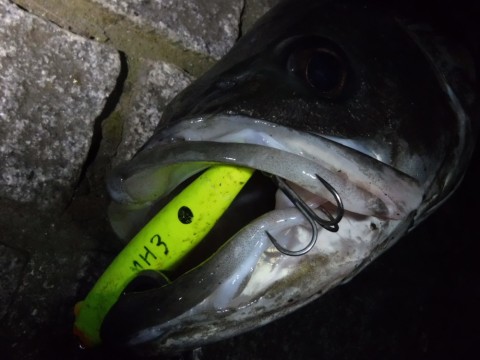 9x26eruco9o93ni6v3dd_920_690-ec55f420.jpg