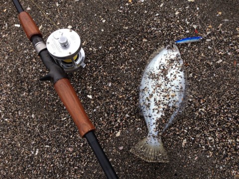 9x56o7buw2346aji9tru_920_690-598ef503.jpg