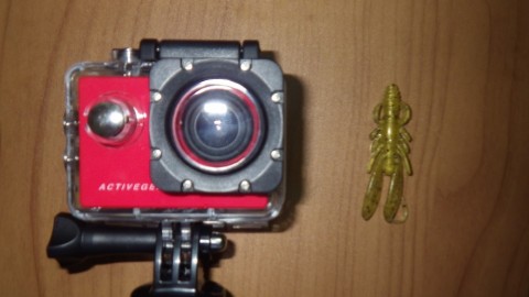9xdc4cts5d6aggvbaa9s_480_480-2e3c8c20.jpg
