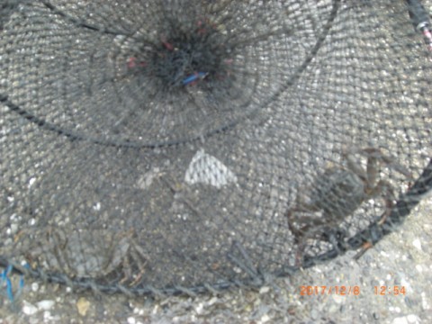 9xvmjj5a3mrgw2j7wxn5_480_480-10f8dba7.jpg