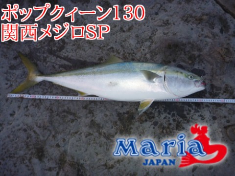 9ybon87emkmmkud2pcku_480_480-3c18ca66.jpg