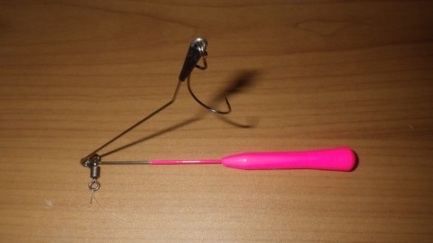 9ysgm2edoagtmwg9927f_480_480-7a3cd24a.jpg