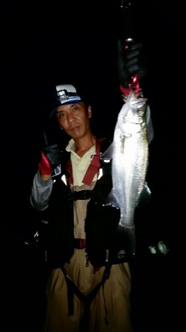 9zc3iuu83kuove4krswd_518_920-e84be8d7.jpg