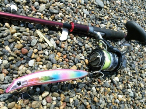 9zdo338d5bi8zx8ncdec_920_690-2c661075.jpg