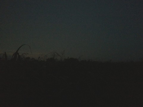 9zftbh7xih3xgt2r76vn_480_480-282fcb6d.jpg