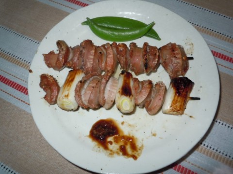 9zjdnmsksedehayk33fh_480_480-a59c0cca.jpg