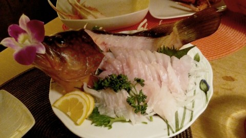 9zp558xxefo798d2gaku_920_518-b36dd7a0.jpg