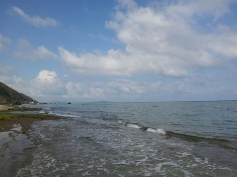 9zukxwgxpcopumoxcbff_480_480-312ab188.jpg
