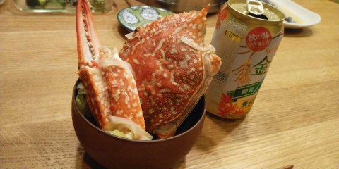 9zxjrs43hd332jzsezwn_480_480-c8010571.jpg