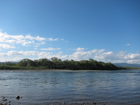 AaWsMjUznQmm6rKSfOhO_480_480-d95d531c.jpg
