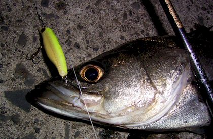 AcQfa2ayT5anoR8gobva-f50461b5.jpg