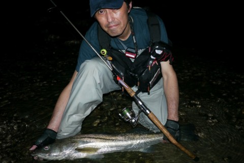 An9ddrUjRYPv92Ogx7vZ_480_480-3457a864.jpg