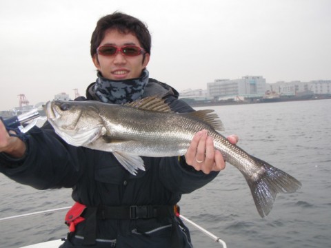 BfmYZr3zXutuXUabhV9K_480_480-b209cdca.jpg