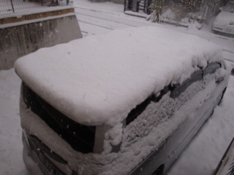 BoCJ6tA3ds7sRPjW5zaR_480_480-7bbd27f4.jpg