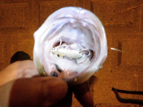 CLAd6byFjEEuctb4Rs35_480_480-274230c3.jpg
