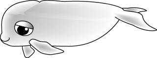 Cb9MbNoAoQgmGPRGasjf-4bdaa48d.jpg