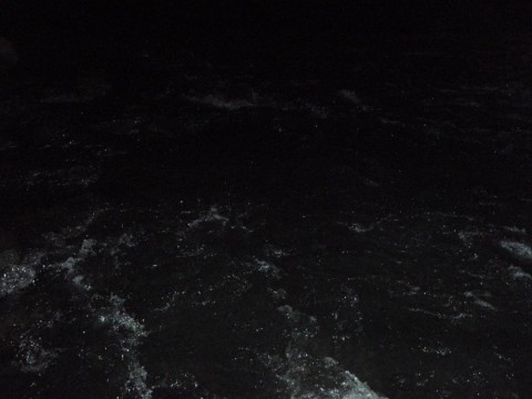 DSyZKKVYkHfSKsXUSfzj_480_480-3bb8ef27.jpg