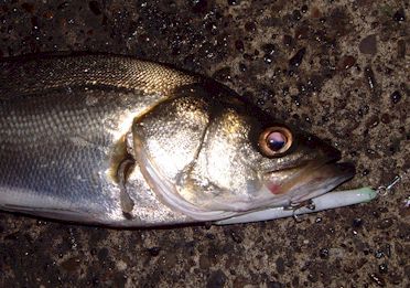 DeDxiBTHe9K9GGLA7gUb-20aaa244.jpg