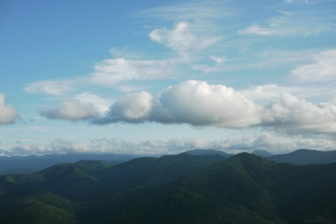 DfSbuebyVTtviEHcpOf2_480_480-2976cc38.jpg