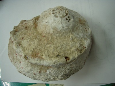 Dgb9Txp5uDz2aNM5oj47-b1ad8acd.jpg
