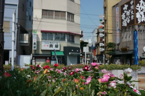 EkL4AEHkdzQdOsvF4rs4_480_480-18125251.jpg