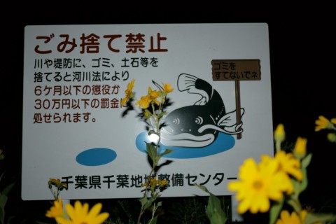 GGvZ9DRSZ5NCP6rBT9Dy_480_480-f4335006.jpg