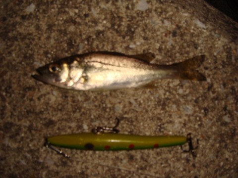 HMaFXQabhMRPS27Ui9Yc_320_240-a3d56a5a.jpg