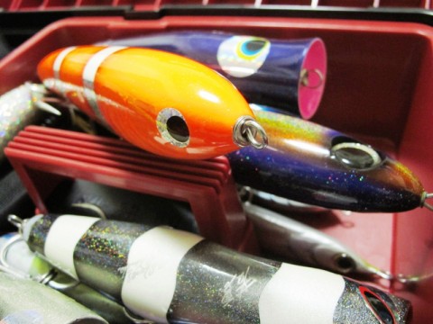 HoSEzpo4QcEJxKzjPMos_480_480-e9ef06cc.jpg