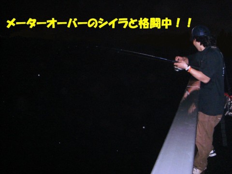 HwOupN69dEGZSvyyEOEW_480_480-0f2af700.jpg